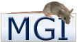  page for mmu-mir-140